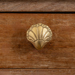 Chunky-shell-knob-lacquered-brass-close-up