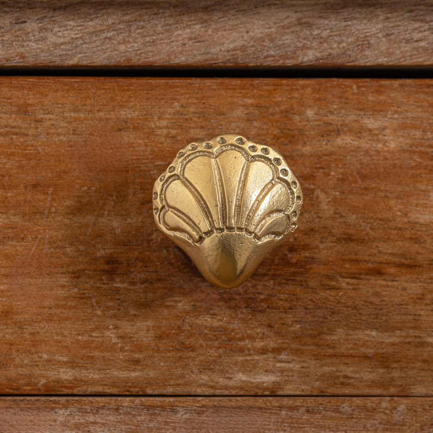 Chunky-shell-knob-lacquered-brass-close-up