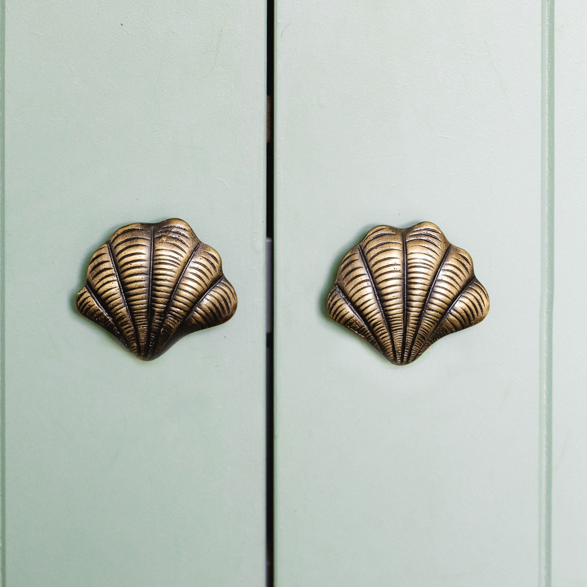 Curved Shell-shaped brass cabinet knobs on a light green cabinet.