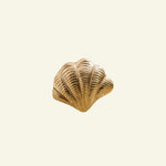 Curved shell-shaped knob on a beige background