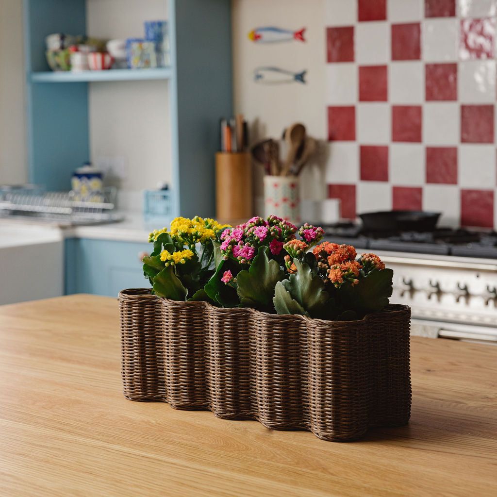 Poppy-rattan-planter-basket-long-with-plants