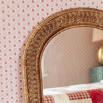 Serena-rattan-mirror-arch-closeup-top