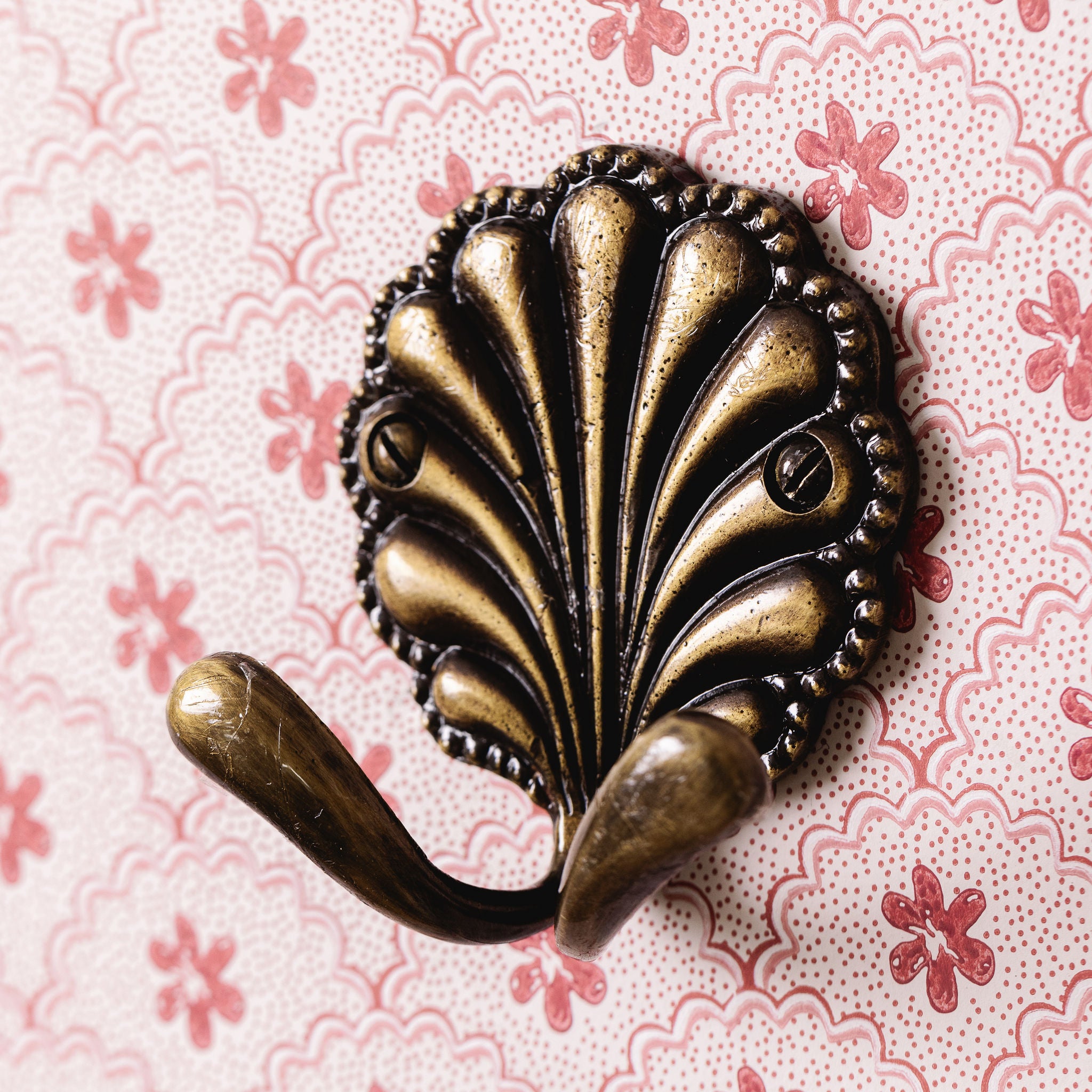 Shell-brass-hook-double-antique-side-image