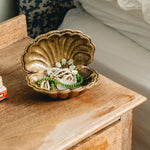 shell-trinket-dish-soap-holder-with-jewellery-in
